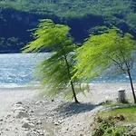 Veroalex *