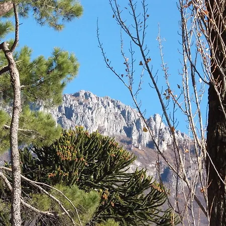 דירה Veroalex אבאדיה לריאנה